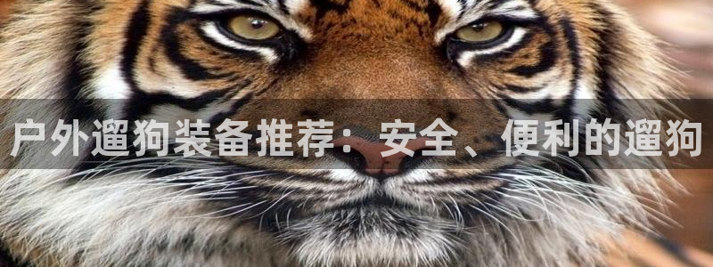 利记娱乐网官网