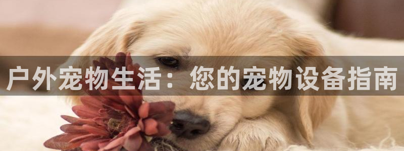 利记国际有限公司官网