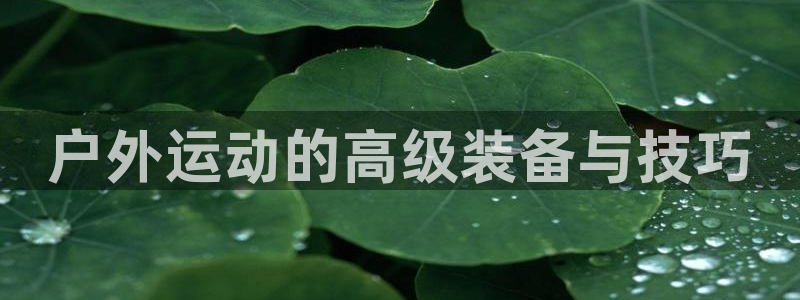 香港利记集团官网地址