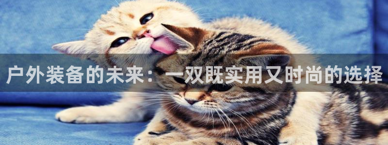利记彩票导航网址官网hd71