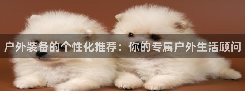 香港利记集团官网地址