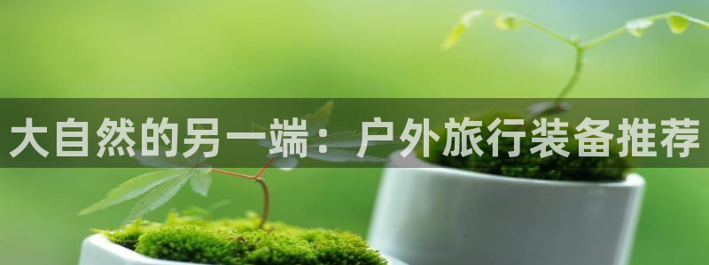 利记平台官网首页
