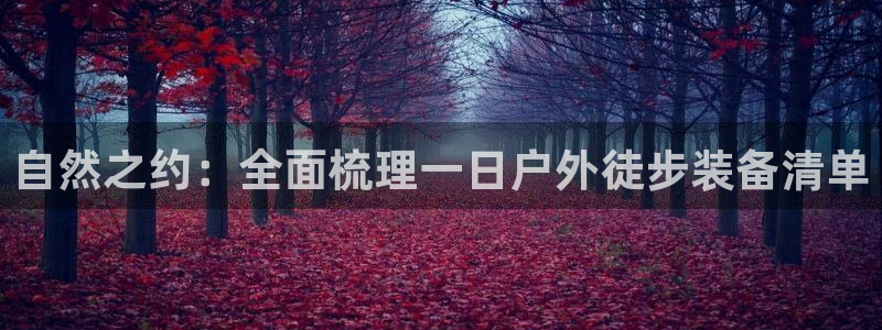 利记网官网网址