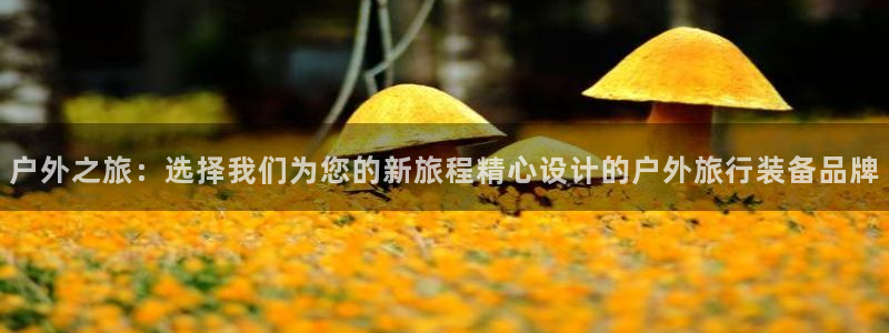 利记官网是什么