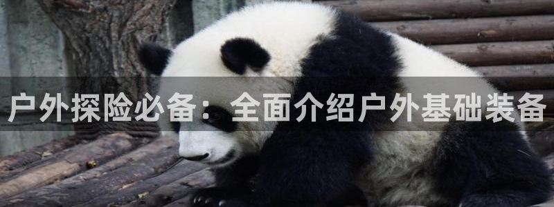 利记体育app官网