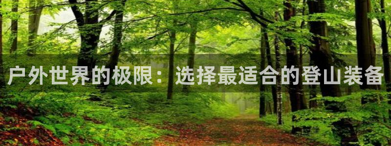 利记彩票导航网址官网hd71