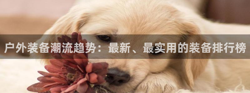 利记国际官网