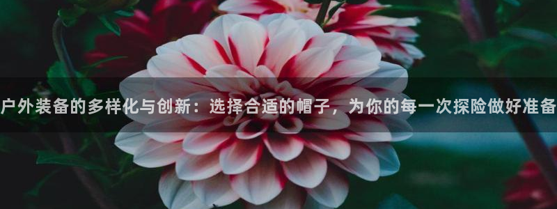 利记体育app官网