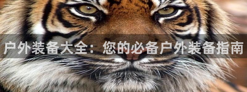 利记官网注册网