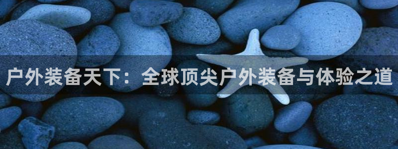 利记官网app下载网址