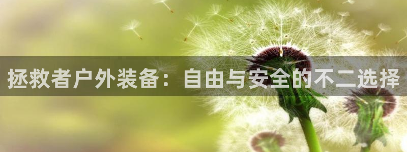 利记国际有限公司官网