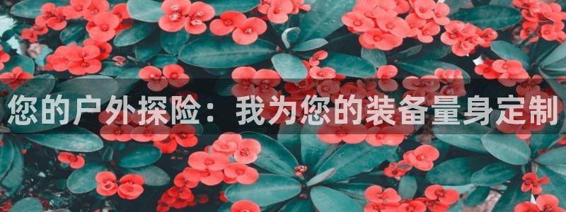 利记娱乐网官网