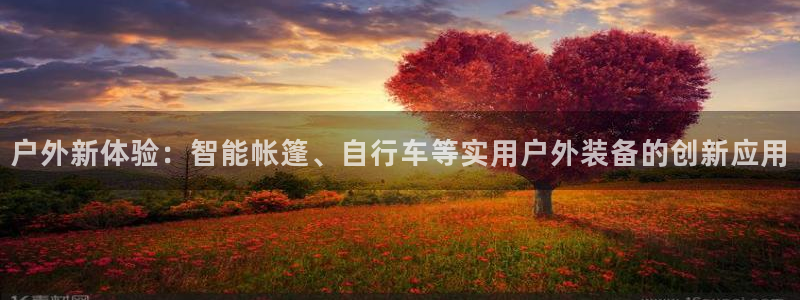 新利记官网