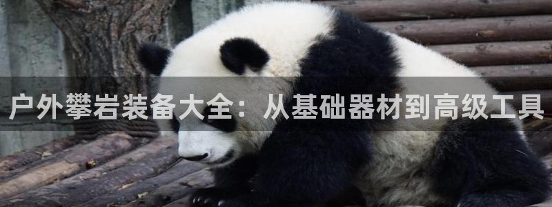 利记集团官网