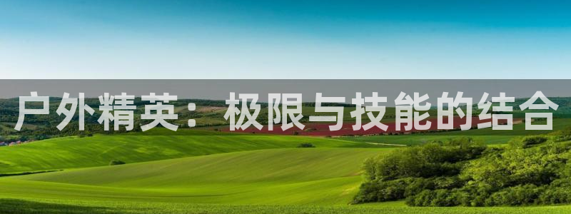 利记官网是多少