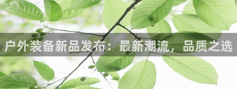 利记娱乐会员金钻官网