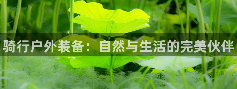 澳博官网app利记网址