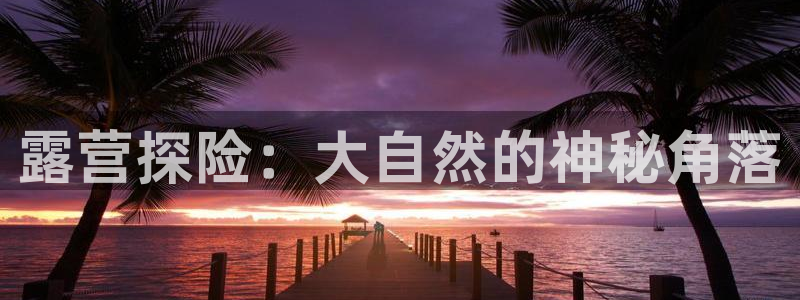 利记sbobet官网电脑版