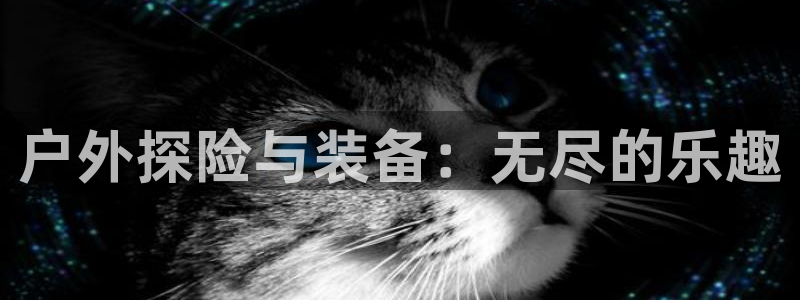 利记平台官网首页