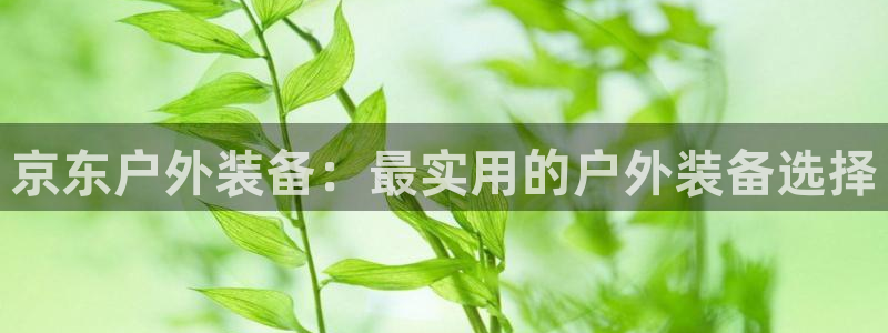 万利记加盟官网电话