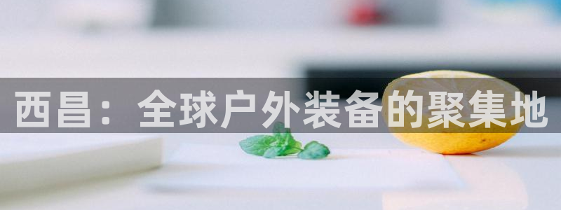 利记官网葡京投注网址