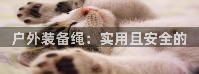 利记官网app下载