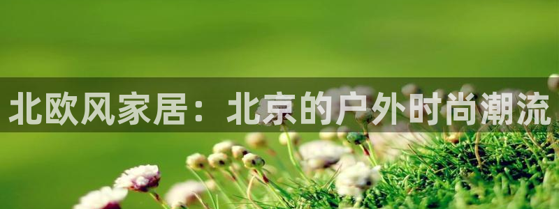 利记app官网真人游戏