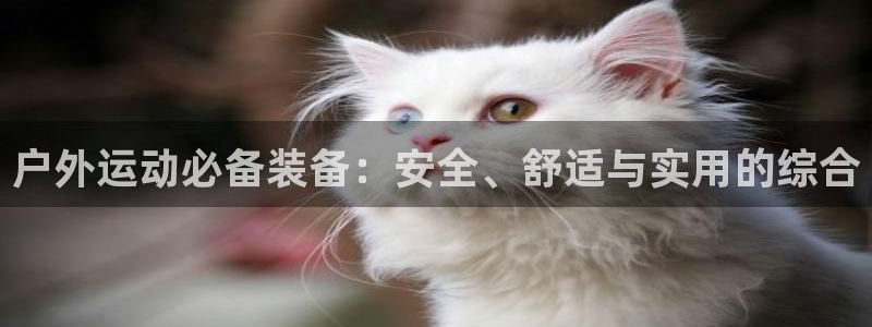 利记sbobet官网电脑版