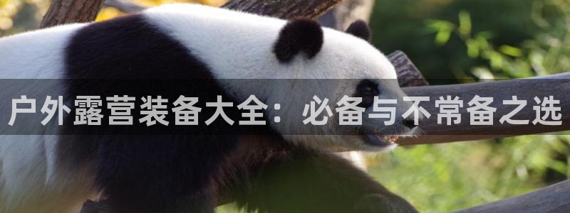 利记官网是什么