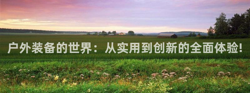 利记广告联盟官网