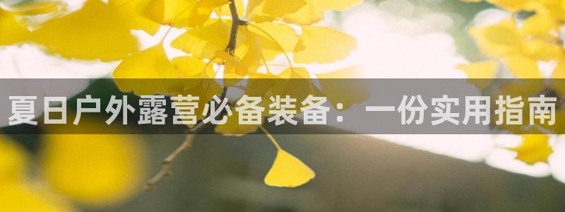 SBOBET利记官网