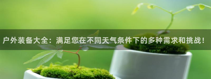利记的官网