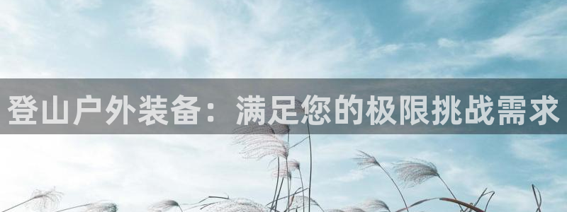 利记官网是什么