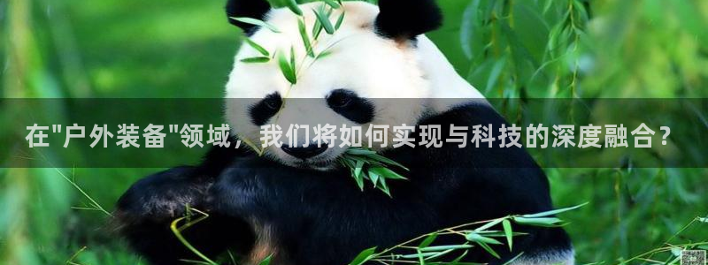 利记手机官网电子mg官方网站