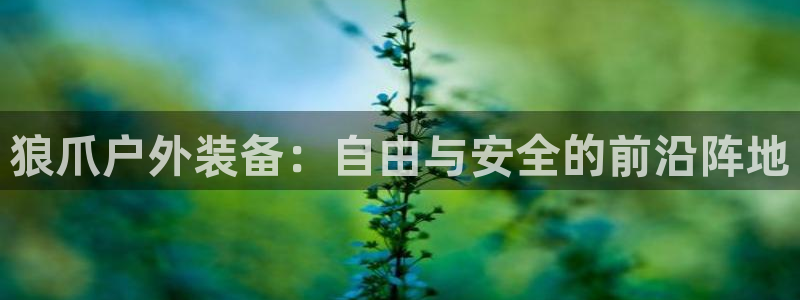 利记体育手机版官网