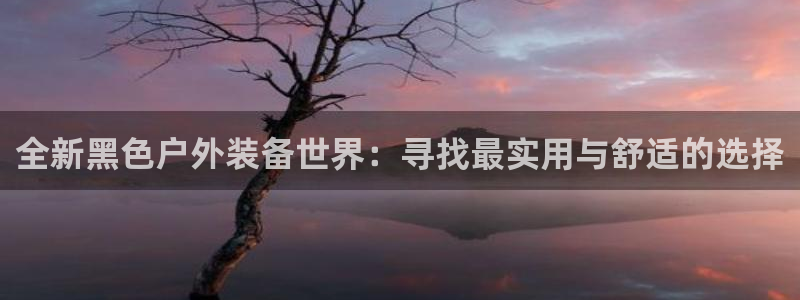 利记官网电脑版