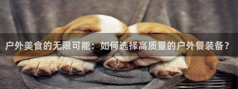 利记手机官网入口