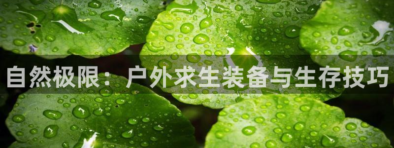 利记官网登录
