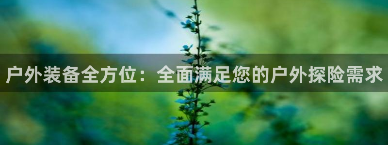 利记坊官网登录