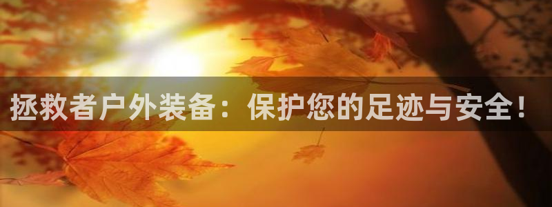 利记体育官网