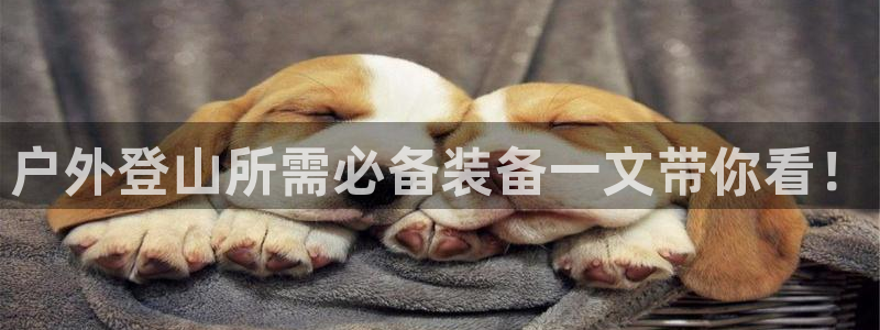 利记彩票官网hd71