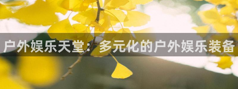 利记官网葡京投注网址