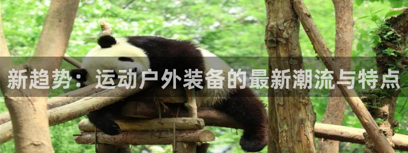 利记bet官网登录入口