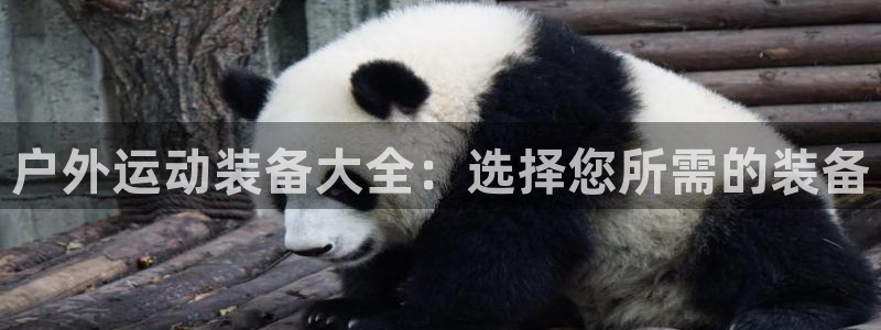 利记官网电脑版