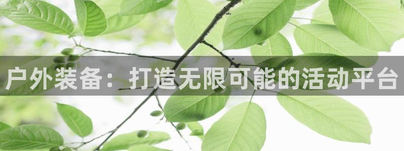 利记官网开户