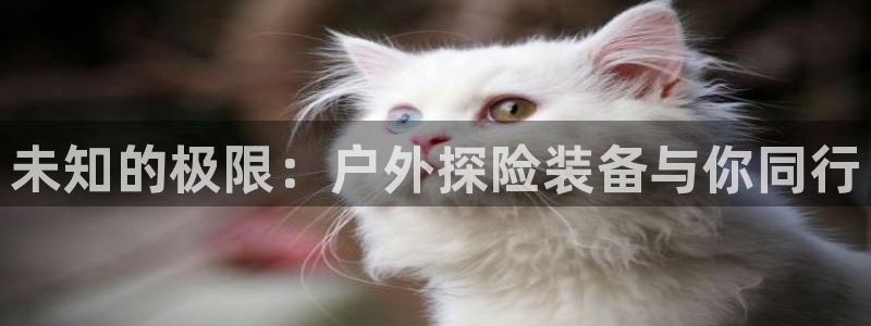 利记现场官网