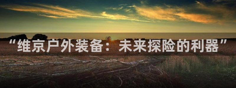 sbo利记体育官网