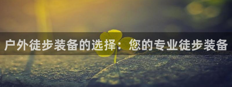 利记官网入口最新版