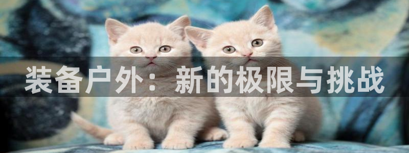 利记sbobet官网电脑版