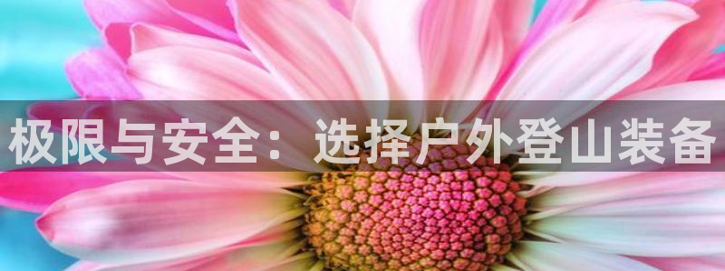 利记sbobet官网电脑版